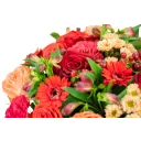 Box červených květin